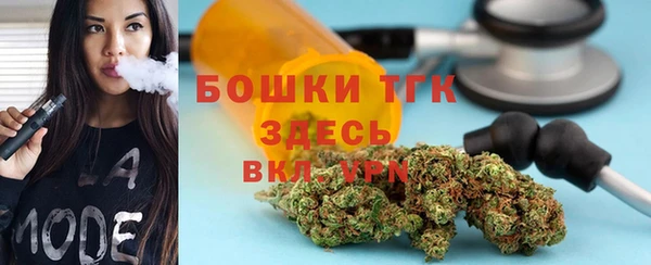 дживик Верхний Тагил