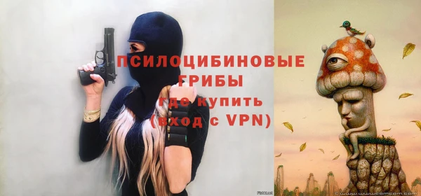 дживик Верхний Тагил