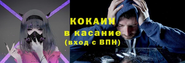 дживик Верхний Тагил