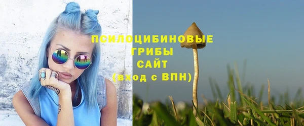 дживик Верхний Тагил