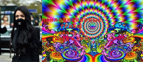 таблы Верея